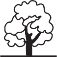 Van Oort Nursery Trees